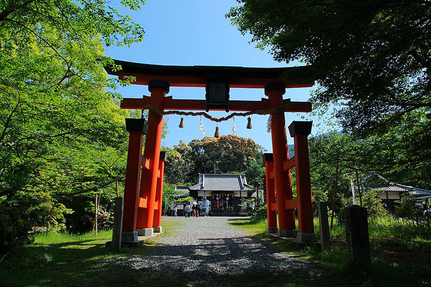 Shrine's area